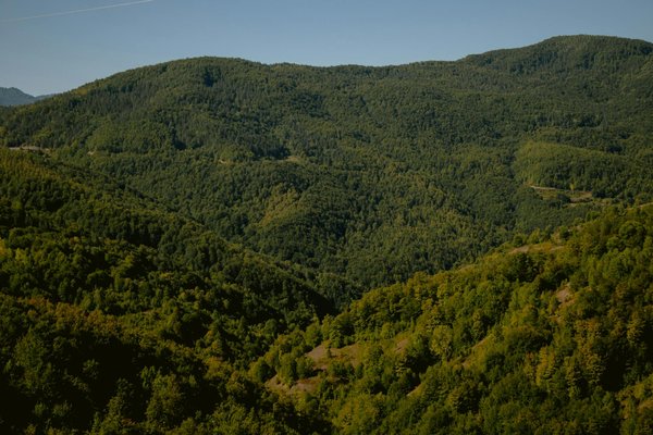 Exploration des Albums Révolutionnaires du Rock : Plongée dans l'Impact Musical et Culturel