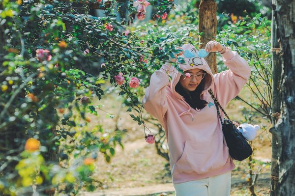 Le Manuel Essentiel : Les Livres Indispensables pour Exceller au Poker