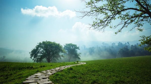 Cinq étapes essentielles pour une transition écologique durable